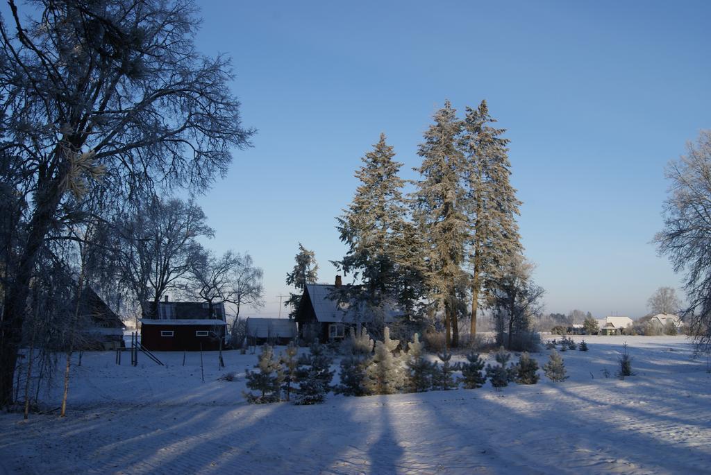 Sepa Talu Konuk evi Aakre Dış mekan fotoğraf